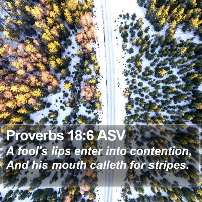 Proverbs 18:6 ASV Bible Verse Image