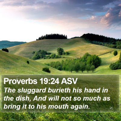 Proverbs 19:24 ASV Bible Verse Image