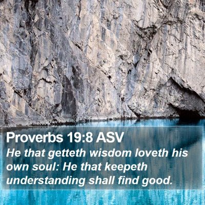 Proverbs 19:8 ASV Bible Verse Image