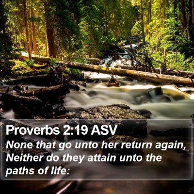 Proverbs 2:19 ASV Bible Verse Image