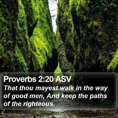 Proverbs 2:20 ASV Bible Verse Image