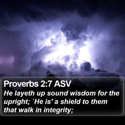 Proverbs 2:7 ASV Bible Verse Image