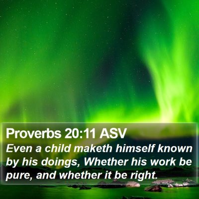 Proverbs 20:11 ASV Bible Verse Image