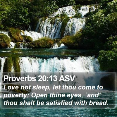 Proverbs 20:13 ASV Bible Verse Image
