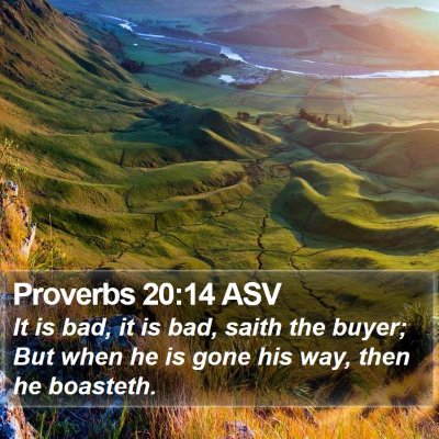 Proverbs 20:14 ASV Bible Verse Image