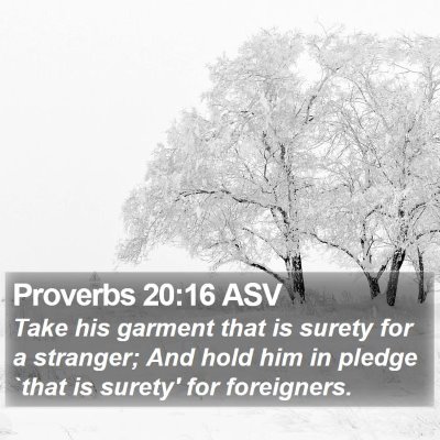 Proverbs 20:16 ASV Bible Verse Image