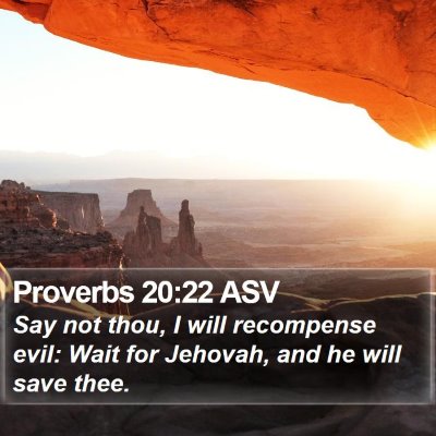 Proverbs 20:22 ASV Bible Verse Image