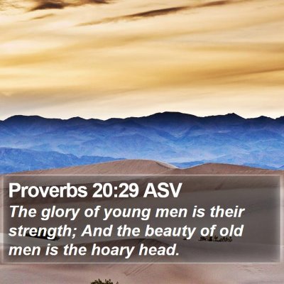 Proverbs 20:29 ASV Bible Verse Image