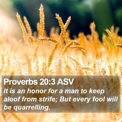 Proverbs 20:3 ASV Bible Verse Image