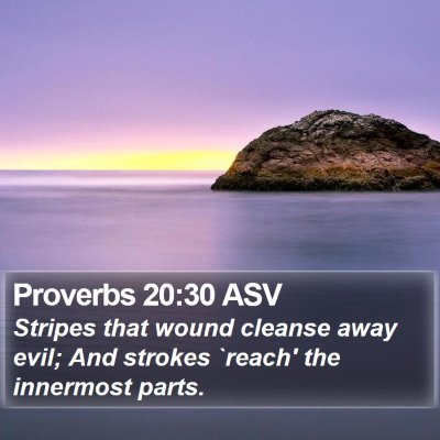 Proverbs 20:30 ASV Bible Verse Image