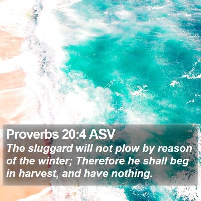 Proverbs 20:4 ASV Bible Verse Image