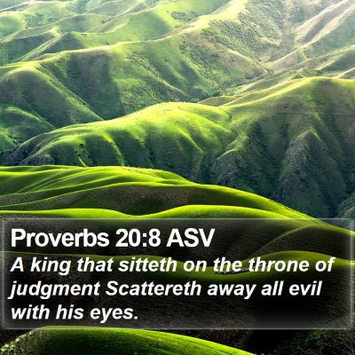 Proverbs 20:8 ASV Bible Verse Image