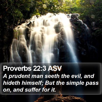 Proverbs 22:3 ASV Bible Verse Image