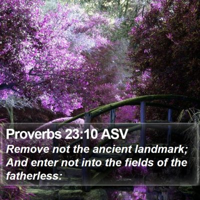 Proverbs 23:10 ASV Bible Verse Image