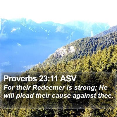 Proverbs 23:11 ASV Bible Verse Image