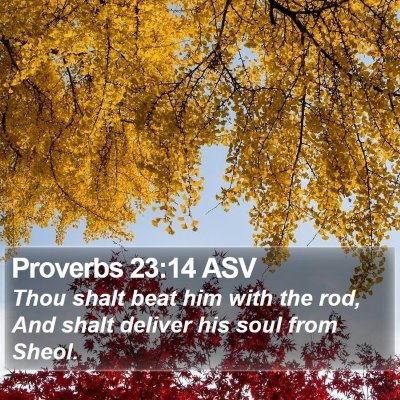 Proverbs 23:14 ASV Bible Verse Image