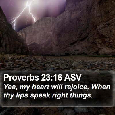 Proverbs 23:16 ASV Bible Verse Image