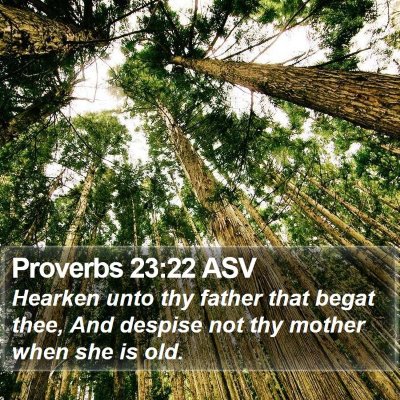 Proverbs 23:22 ASV Bible Verse Image