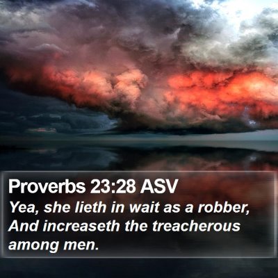 Proverbs 23:28 ASV Bible Verse Image