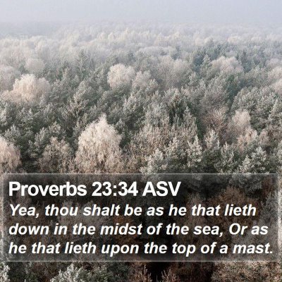 Proverbs 23:34 ASV Bible Verse Image