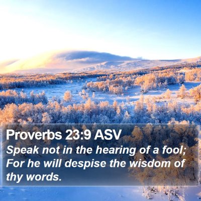 Proverbs 23:9 ASV Bible Verse Image