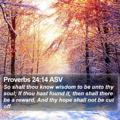 Proverbs 24:14 ASV Bible Verse Image