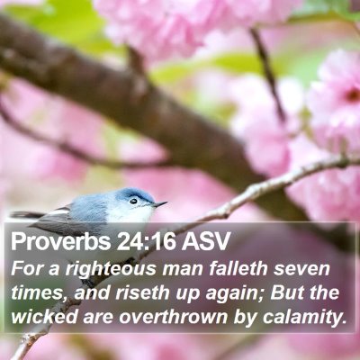 Proverbs 24:16 ASV Bible Verse Image