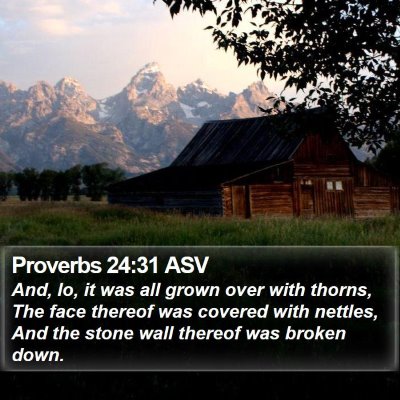 Proverbs 24:31 ASV Bible Verse Image
