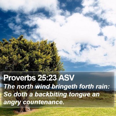 Proverbs 25:23 ASV Bible Verse Image