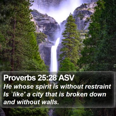 Proverbs 25:28 ASV Bible Verse Image