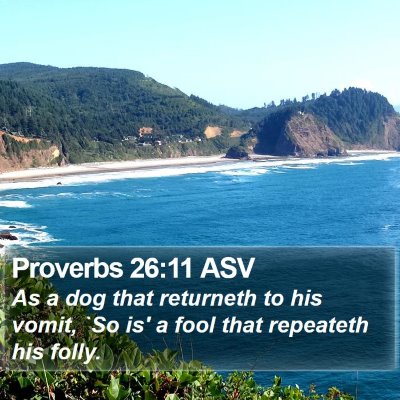Proverbs 26:11 ASV Bible Verse Image