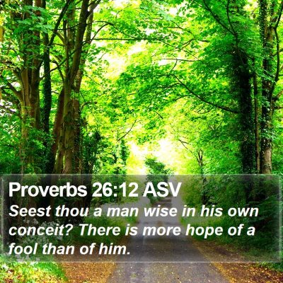 Proverbs 26:12 ASV Bible Verse Image