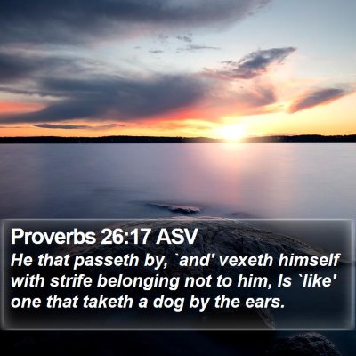 Proverbs 26:17 ASV Bible Verse Image