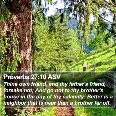 Proverbs 27:10 ASV Bible Verse Image
