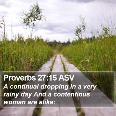 Proverbs 27:15 ASV Bible Verse Image