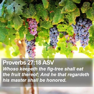 Proverbs 27:18 ASV Bible Verse Image