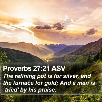 Proverbs 27:21 ASV Bible Verse Image