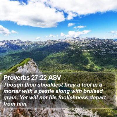 Proverbs 27:22 ASV Bible Verse Image