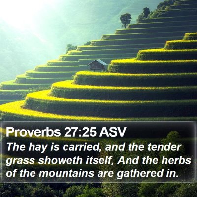 Proverbs 27:25 ASV Bible Verse Image