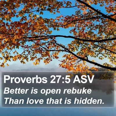 Proverbs 27:5 ASV Bible Verse Image