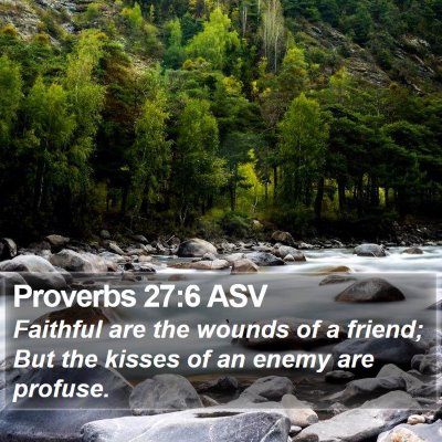 Proverbs 27:6 ASV Bible Verse Image