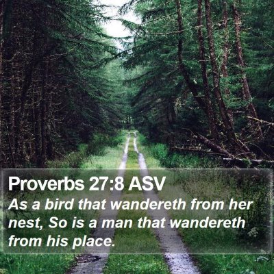 Proverbs 27:8 ASV Bible Verse Image