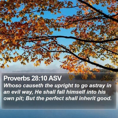 Proverbs 28:10 ASV Bible Verse Image