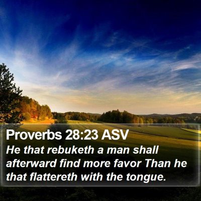 Proverbs 28:23 ASV Bible Verse Image