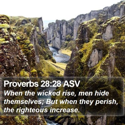 Proverbs 28:28 ASV Bible Verse Image