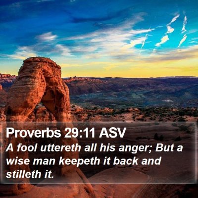 Proverbs 29:11 ASV Bible Verse Image