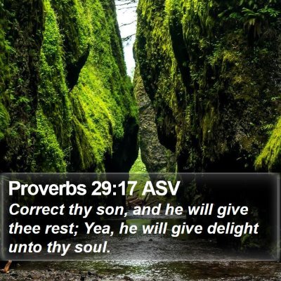 Proverbs 29:17 ASV Bible Verse Image