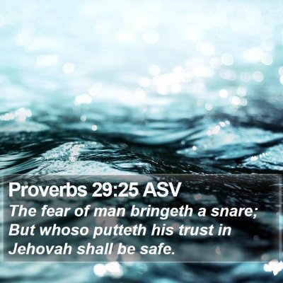 Proverbs 29:25 ASV Bible Verse Image