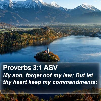 Proverbs 3:1 ASV Bible Verse Image