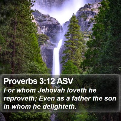 Proverbs 3:12 ASV Bible Verse Image